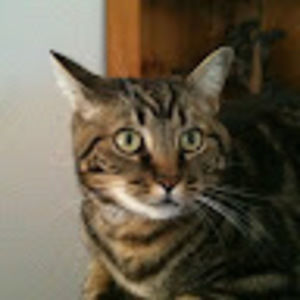 Meet your Posher, Gail